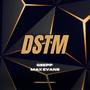 DSTM (Don't Stop The Music) (Radio Edit)