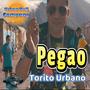 Pegao