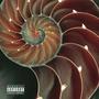 CARACOL (Explicit)