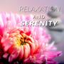 Relaxation and Serenity – Sensual Massage, Waves, Anti Stress, Balance Harmony Relax Zone, Ambient M