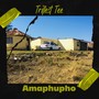 Amaphupho