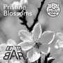 Pristine Blossoms