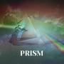 Prism (feat. Elias Berezin, Daniel Segura & Danny Pravder)