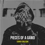 Pieces of a Gawd (Explicit)