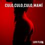 culo,culo,culo,mami (feat. Siul D, Sunos P, DJ VANTEL & Leo D) [Versión Explícita] [Explicit]