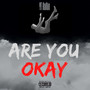 Are You Okay (Explicit)