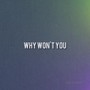 Why Won't You (Explicit)