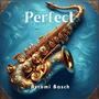 Perfect (Saxophone Version)