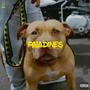 PALADINES X CARGHTY (feat. Adrian Montoya & Jolta) [Explicit]