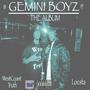 GEMINI BOYZ (Explicit)