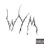 WYM (feat. PainKillerAide8) [Explicit]