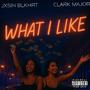 What I Like (Explicit)