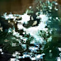 雨季