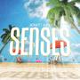 Senses (feat. KVN)