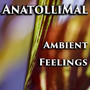 Ambient Feelings