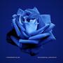 Blue Rose (feat. John McVey)