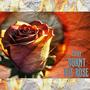 Burnt The Rose (Explicit)