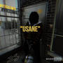 USANE (Explicit)