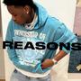 REASONS (Explicit)