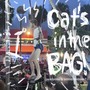 cat’s in the bag!