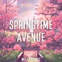 Springtime Avenue