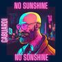 NO SUNSHINE (Explicit)