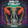 Shake The Place