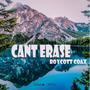 Can't Erase (Explicit)