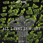 All I WANT IS MONEY (Explicit)