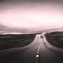 Love Lane 55