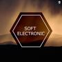 Soft Electronic