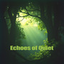 Echoes of Quiet