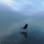 Solitude Time