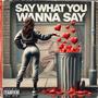 Say What you Wanna Say (Explicit)