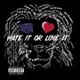 Hate it or Love it (Explicit)