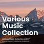 Various Music Collection Vol.117 -Selected & Music-Published by Audiostock-