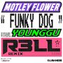 FUNKY DOG (R3LL Remix)