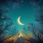 Lofi Dreams: Soft Rhythms for Deep Sleep and Peaceful Nights