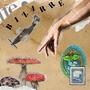 BIZ4RRE (Radio Edit)