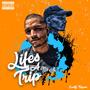 Life's a Trip (Explicit)