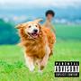 Dog Walk (Explicit)