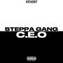 STEPPA GANG C.E.O (Explicit)