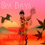 Spa Days - Wellness Healing Deep Relaxing Lounge Music for Mindfulness Meditation