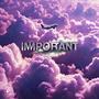 Important (feat. Caliwoodz & Barksolo) [Explicit]