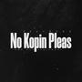 Joyrdvay-No Kopin Pleas