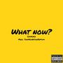 What Now? (Explicit)