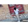 Sorry (feat. Izzo dastar) [Explicit]