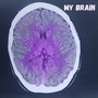 My Brain (Explicit)