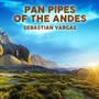 Pan Pipes of the Andes