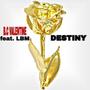 Destiny (feat. Legendary Big Mack)